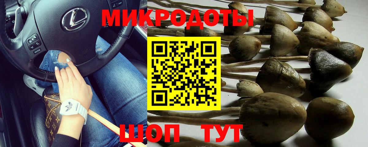 Галлюциногенные грибы MAGIC MUSHROOMS Сургут